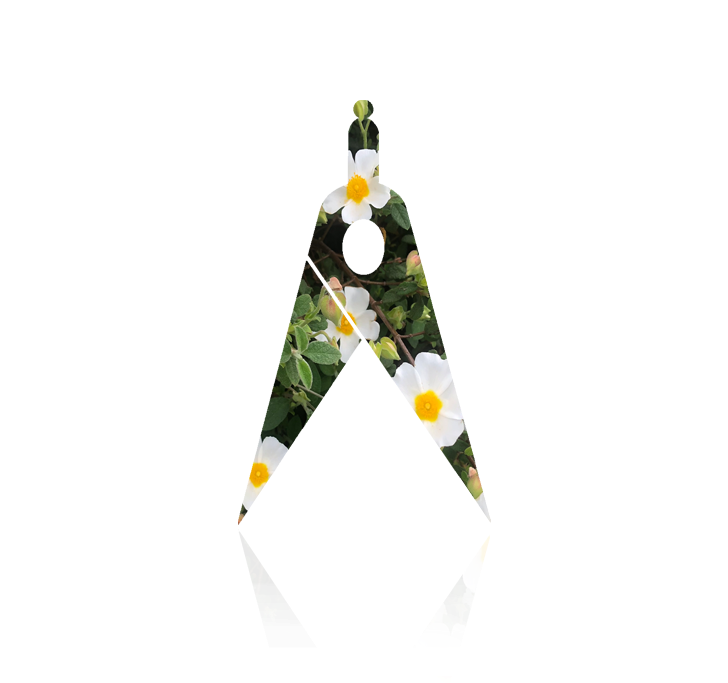 Gartenplanung